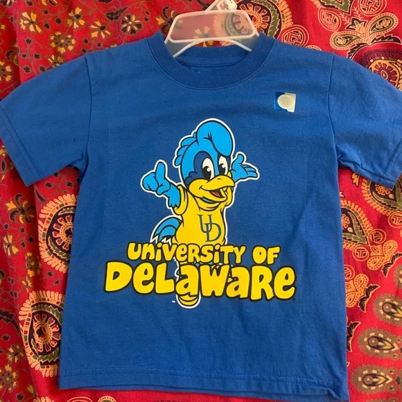University of Delaware Blue Hens T-shirt - Picture 1 of 4